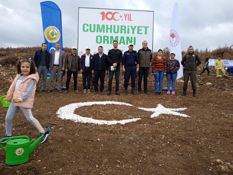 11 KASIM MİLLİ AĞAÇLANDIRMA GÜNÜ